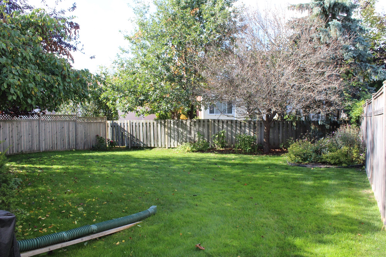 Emerald Meadows Kanata House Curious