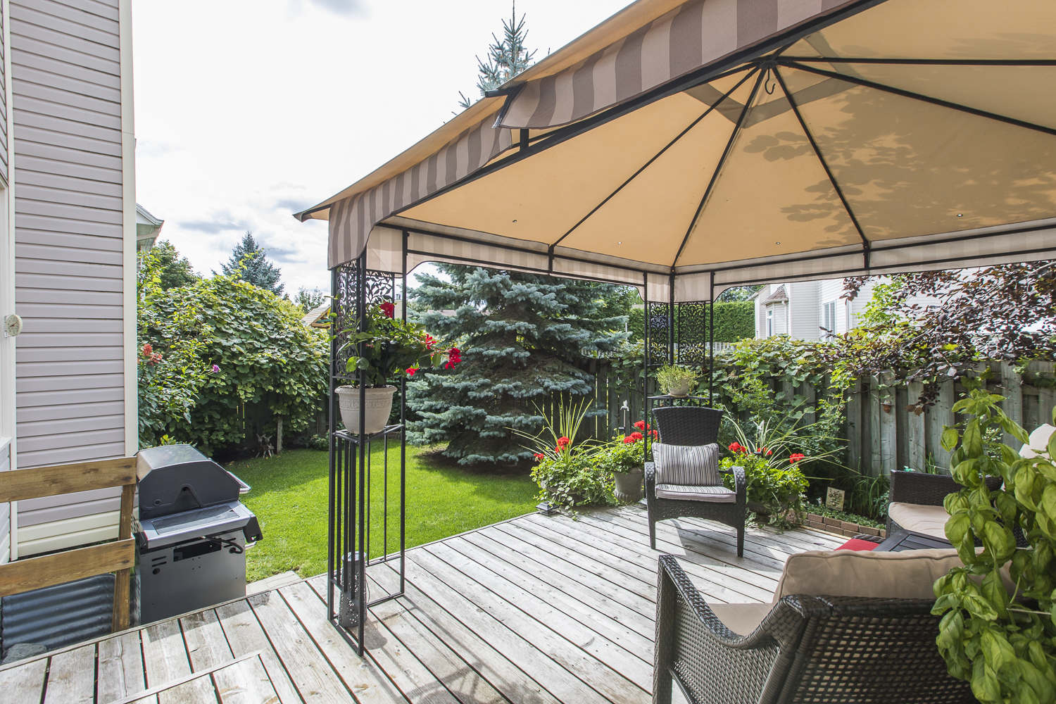 Centrepointe House Curious