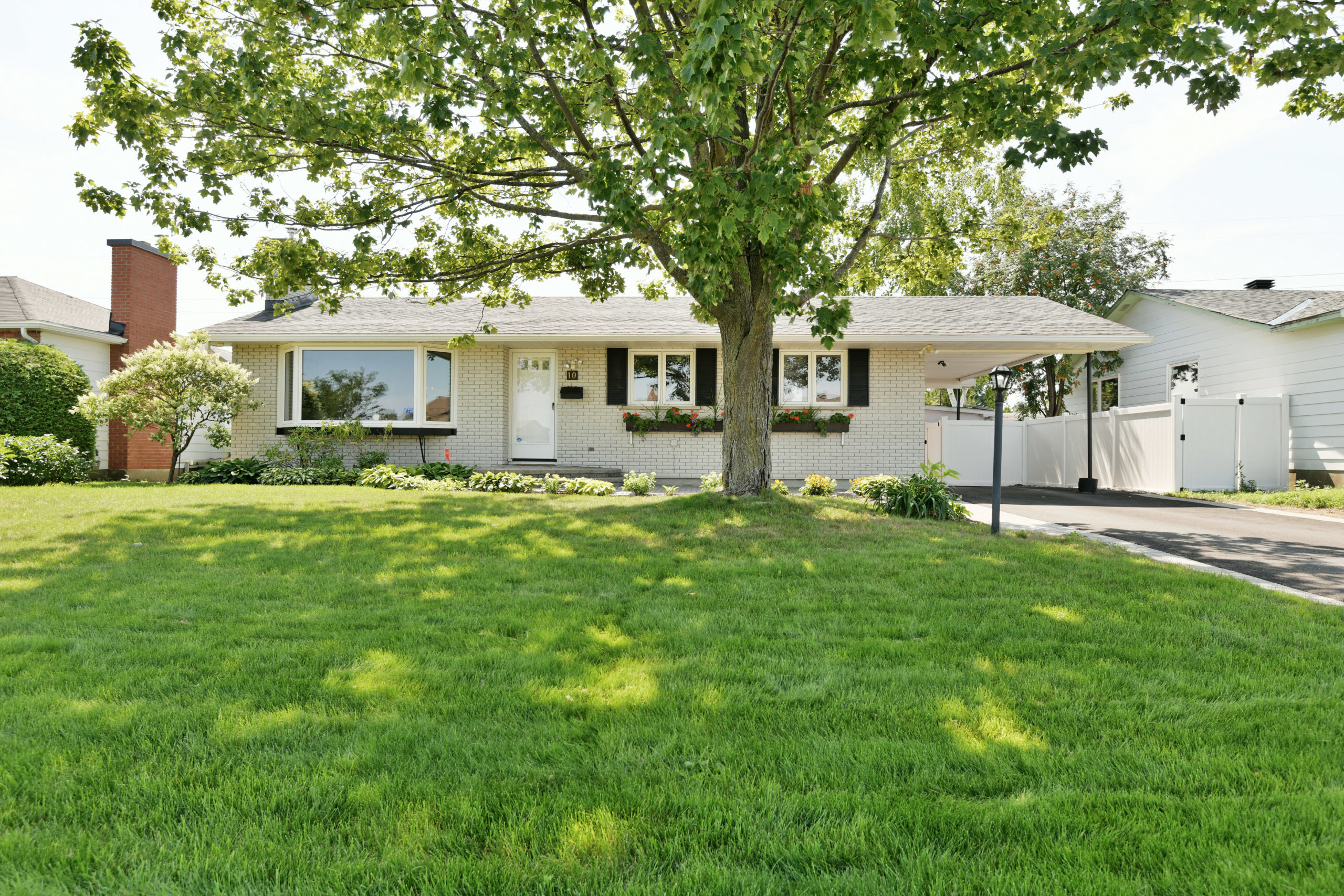 Craig Henry House Curious