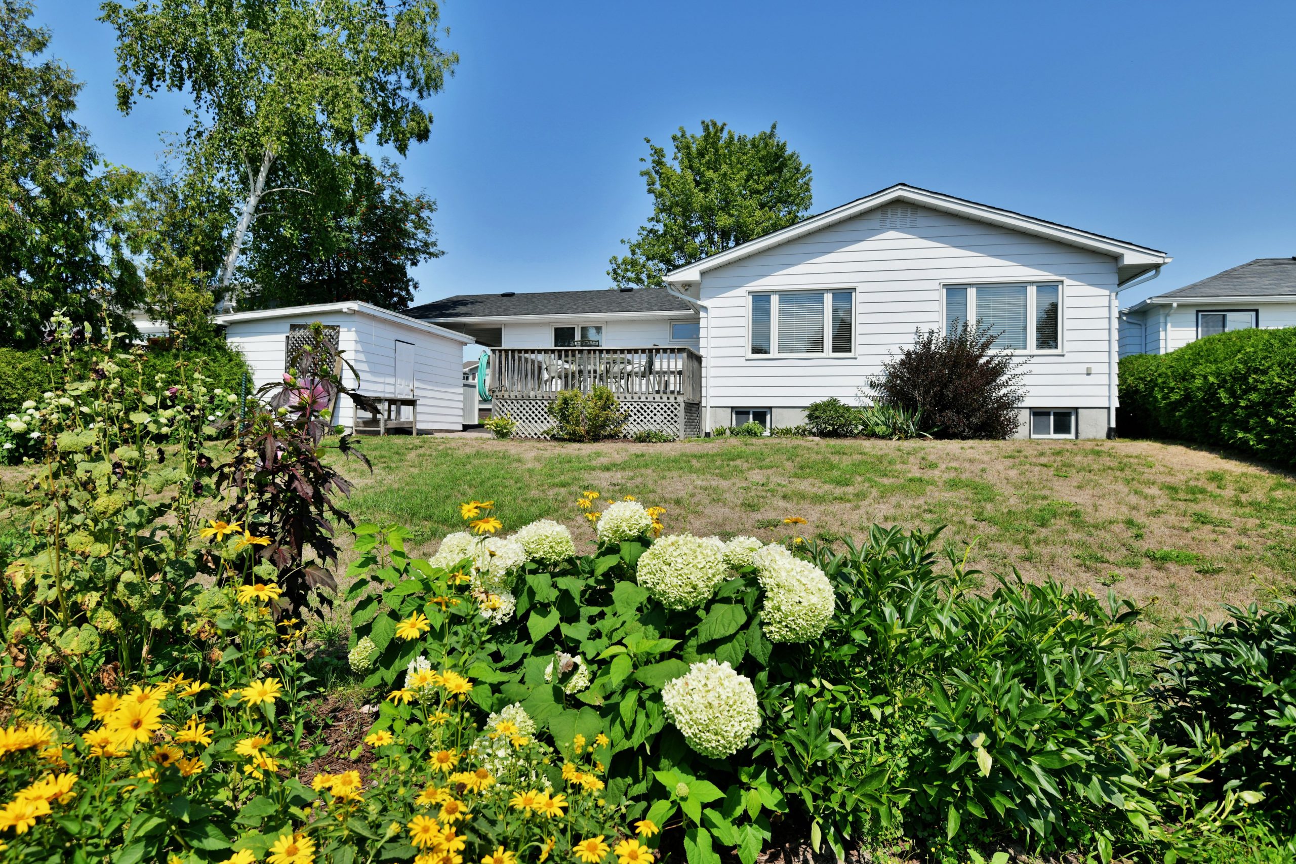Craig Henry House Curious
