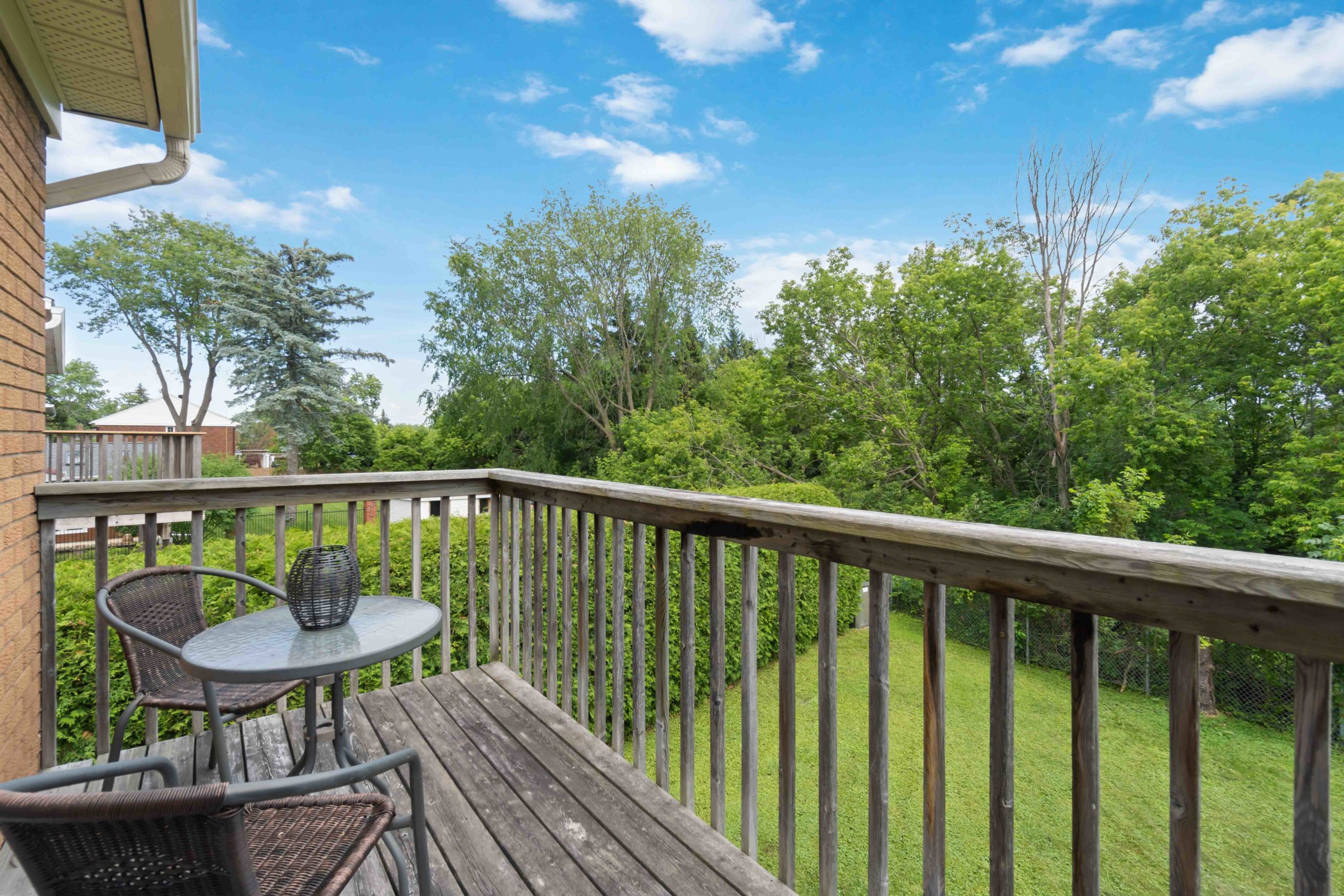 Arlington Woods House Curious